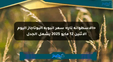 «الأسطوانة نار» سعر أنبوبة البوتاجاز اليوم الإثنين 12 مايو 2025 يشعل الجدل